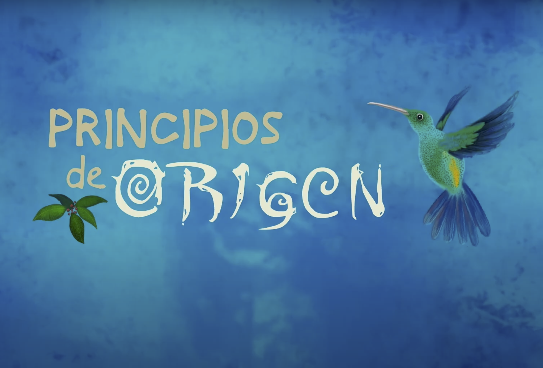 Principios de Origen